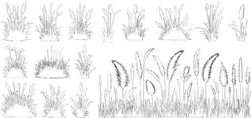 Grass outline lawn herb meadow eco plant bush turf. Grass natural organic lawn outline set vector