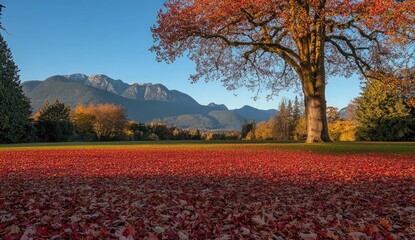 autumn in the mountains