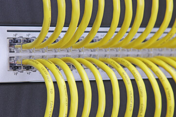 Ethernet data switch with connected cables with Rj45 connector. Close-up. Soft focus. 