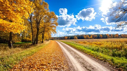 Naklejka premium Golden Autumn Road, Fall Scenery - Autumnal landscapes