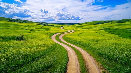 Fototapeta premium Winding Road Through Yellow Fields - Nature photography