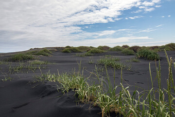 iceland