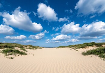Sunny beach dunes, ocean view, perfect summer day