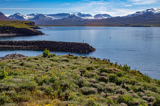 iceland