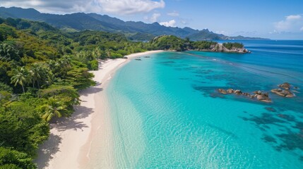 Aerial View of Tropical Beach with Turquoise Water