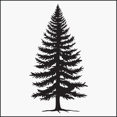 Fototapeta premium fir tree silhouette