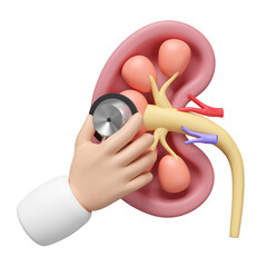 3d human kidney cross section with doctor cartoon hand holding stethoscope isolated. health check, world kidney day concept, 3d illustration render