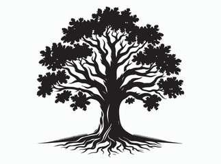 Oak Tree Silhouette with Spreading Branches and Majestic Shape in Natural Landscape