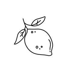 hand drawn fruit doodle