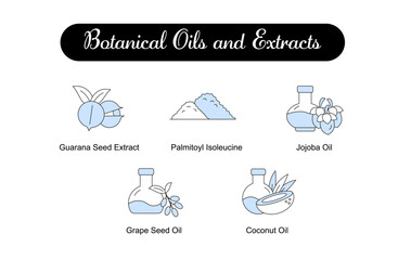 Botanical Oils and Extracts. Icons included: Grape Seed Oil, Palmitoyl Isoleucine, Jojoba Oil, Coconut Oil, Guarana Seed Extract. Editable Stroke and Colors.
