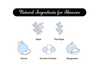 Natural Ingredients for Skincare. Icons included: Algae, Red Algae, Mangosteen, Quince, Glucose Complex. Editable Stroke and Colors.