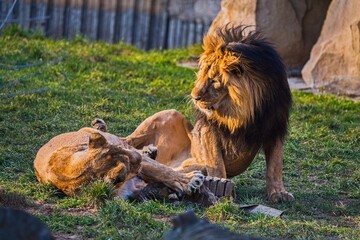 Few shots in Prague ZOO, Czech republic 