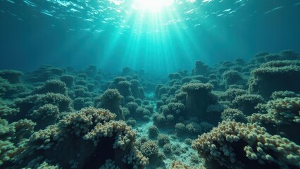 Underwater view of a dead coral reef suffering from severe bleaching and decay	