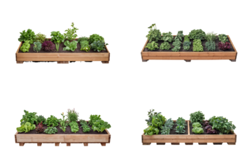 Elevated Wooden Garden Bed with Lush Green Plants