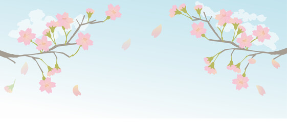 グラデーションカラーが美しい満開の桜の枝のイラスト