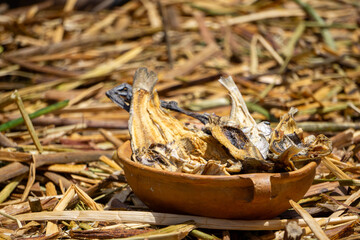 Traditional Dried Fish in a Handmade Ceramic Vessel on Totora Reeds at Uros Islands in Lake Titicaca Peru Showcasing Andean Culture