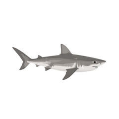 Fototapeta premium Realistic Illustration of a Gray and White Shark Swimming Freely in Transparent White Background