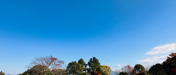 真っ青な秋の空