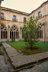 Fototapeta premium Oviedo. Asturias. Spain. Cloister of the Oviedo Cathedral. Built in Gothic style during the 14th-15th centuries