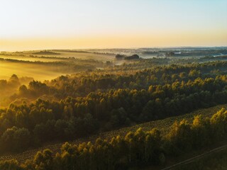 Obraz premium Golden sunlight breaking through misty valley
