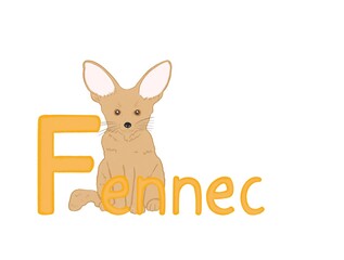 Illustration for English alphabet with fennec on white background. Letter f