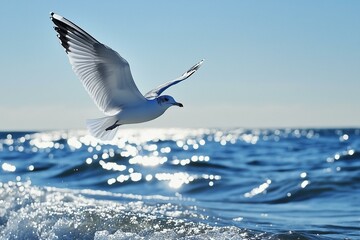 Fototapeta premium A seagull gracefully soars over the shimmering ocean under a clear blue sky