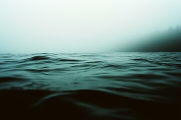 Obraz premium Misty Ocean Horizon with Gentle Waves and Distant Silhouettes of Trees