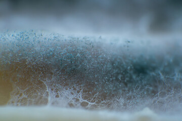 Macro Close-Up of Mold Growing on Cheese – Detailed Texture and Fungal Patterns