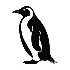 Obraz premium Penguin vector silhouette illustration black color