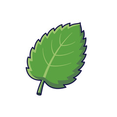 Fresh herbs concept. Cute mint leaf. Vector cartoon icon illustration. Mint in doodle style. Isolated on white background.