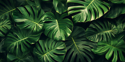 Fototapeta premium Lush Tropical Foliage Wallpaper for Vibrant and Exotic Interior Aesthetics