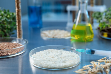 GMO concept. Different raw grains in Petri dishes, microgreens, syringe and other equipment on table in laboratory, closeup
