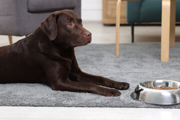 Cute dog lying near bowl of dry pet food on floor indoors