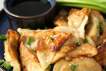 Tasty fried gyoza (dumplings) and soy sauce on plate, closeup