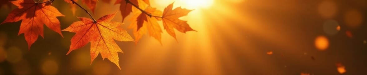 Golden hour sunlit autumn branches, falling leaves bokeh effect , sky, november