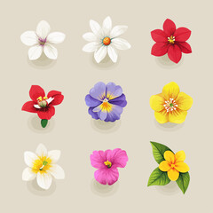 Nine Colorful Floral Set on Beige Background with Various Types of Flowers