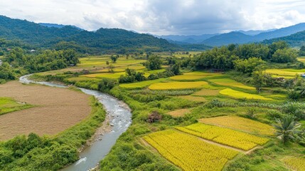 Obraz premium Aerial View of Rice Terraces and River in a Valley Landscape