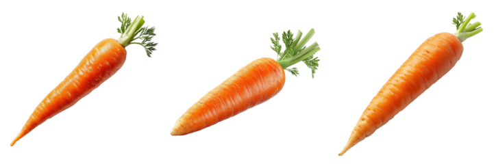 Harvesting fresh carrots farm food photography bright setting close-up