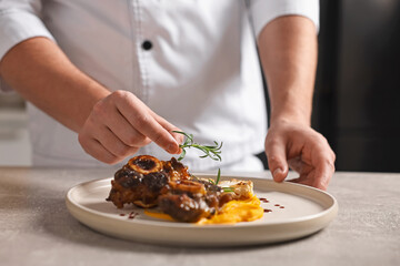 Professional chef serving dish at table indoors, closeup