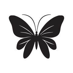 butterfly silhouette vector illustration, flying on white background