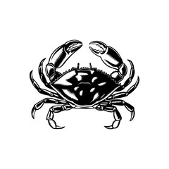 Vintage  engraving illustration of crab. Seafood emblem with crab. Vector crab illustration