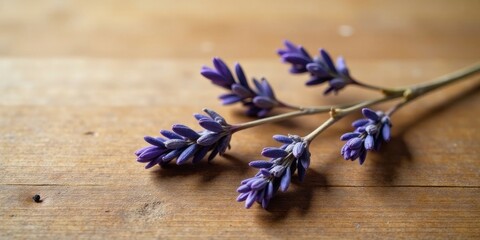 Obraz premium A Delicate Sprig of Purple Flowers Resting on a Smooth Wooden Surface