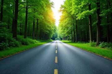 Fototapeta premium Asphalt Pathway Through a Lush Green Canopy of Trees on a Sunny Day