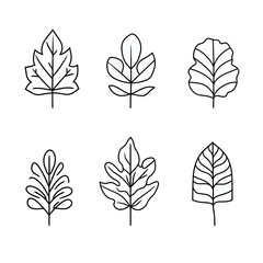 Six Diverse Leaf Illustrations in Minimalist Black and White Line Art