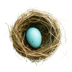 blue egg nestled in natural straw nest, symbolizing new beginnings and nature beauty. This serene image captures essence of life and tranquility