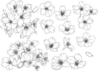 桜の線画セット