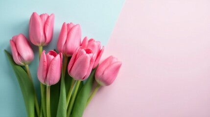 A Delicate Bouquet of Pink Tulips on a Pastel Background, Perfect for Springtime Celebrations and Romantic Occasions