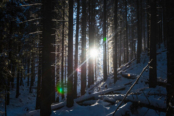 Fototapety na wymiar - Fototapeta24.pl