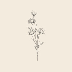 Wild Flower Branch Line Art Illustration