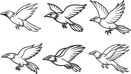 set of flying raven bird line art, black outline, vector and illustration, coloring book page line art drawing